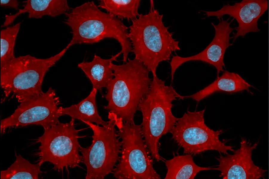 Imaging_Chamber_IC_6
