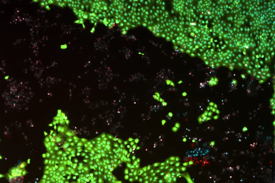 plasmaderm_demo_5s_4x